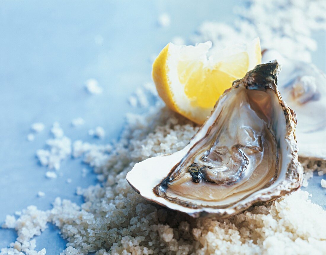 A fresh oyster with a lemon wedge on sea salt