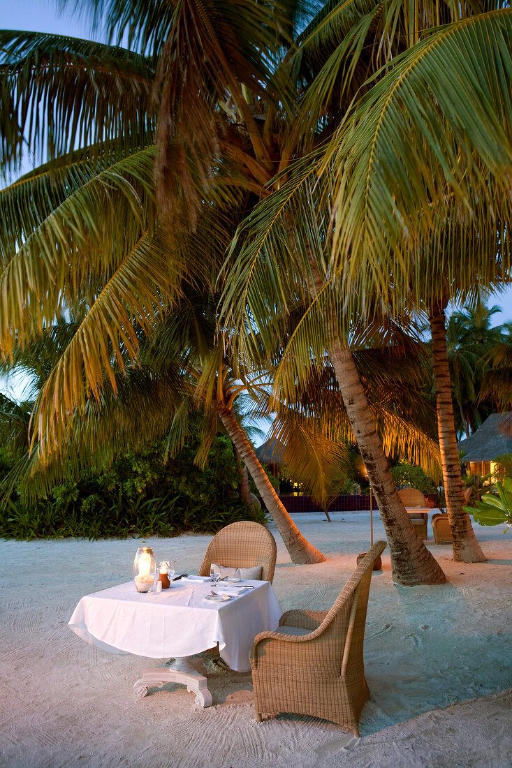 Palmenlichtung, Abendessen, Insel Veliganduhuraa, Malediven