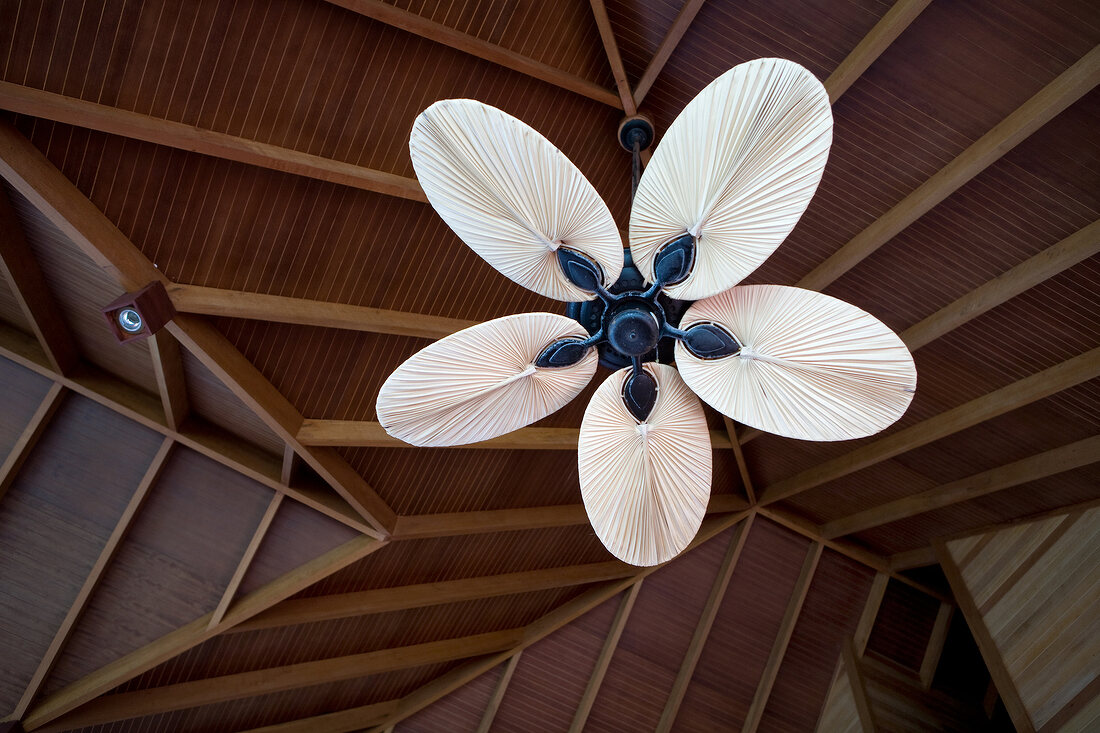 Ceiling fan in the Dhigufinolhu Island Resort, Maldives, low angle view