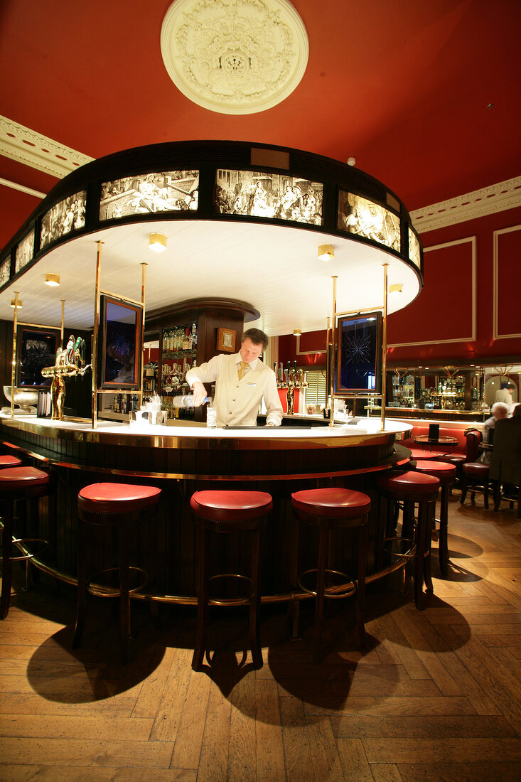 The Horseshoe Bar im Shelbourne Hotel Dublin Irland