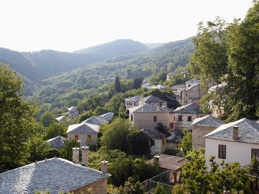 Steinhäuser am Berghang, Makrinitsa, Bäume, Pilion, Griechenland