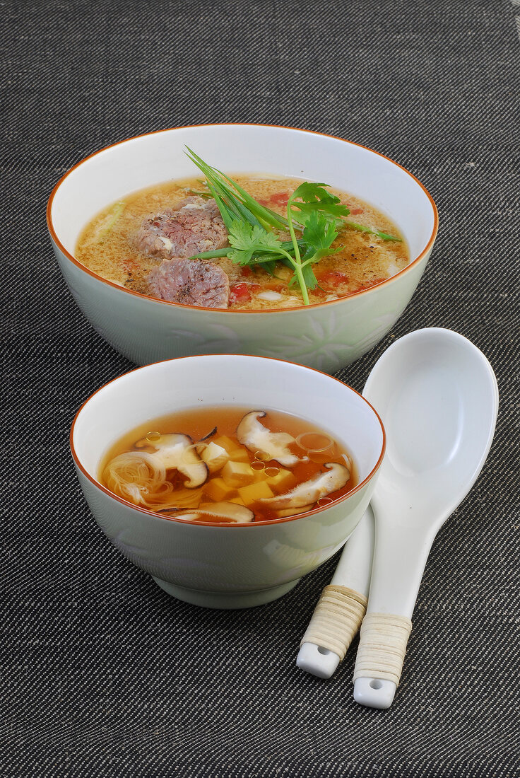 Wok, Eierblumensuppe mit Rind, Japanische Tofu-Brühe mit Pilzen