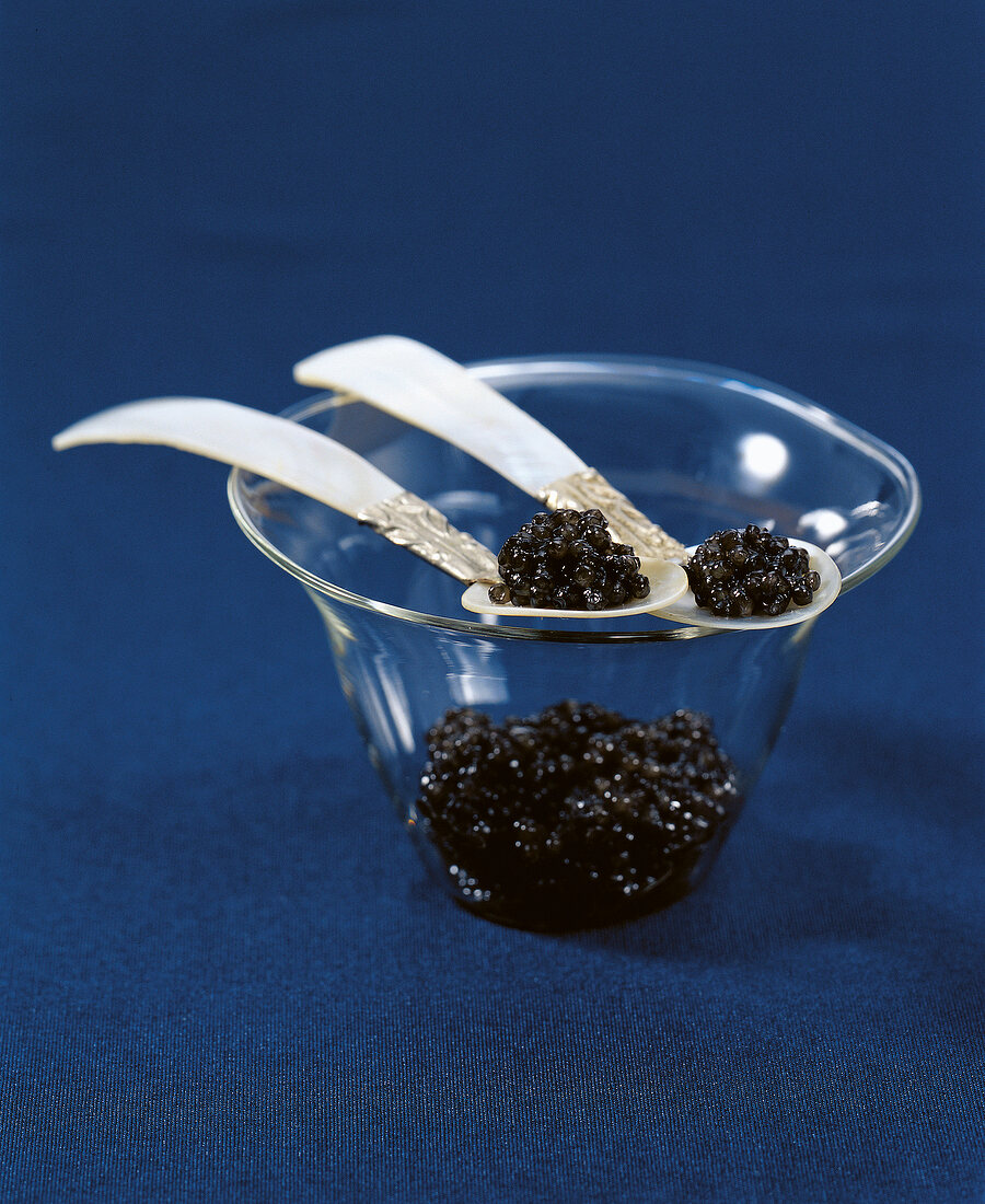 Caviar in dish with 2 spoons on blue background