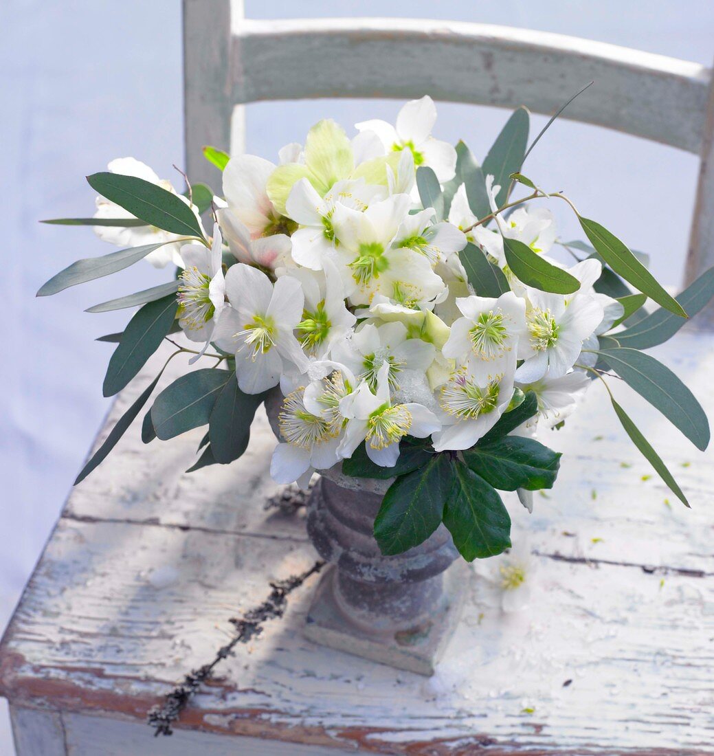 White hellebores in flower vase on wooden chair