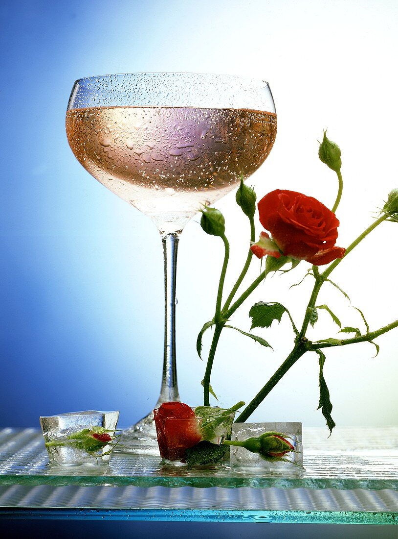 Rose and champagne drink