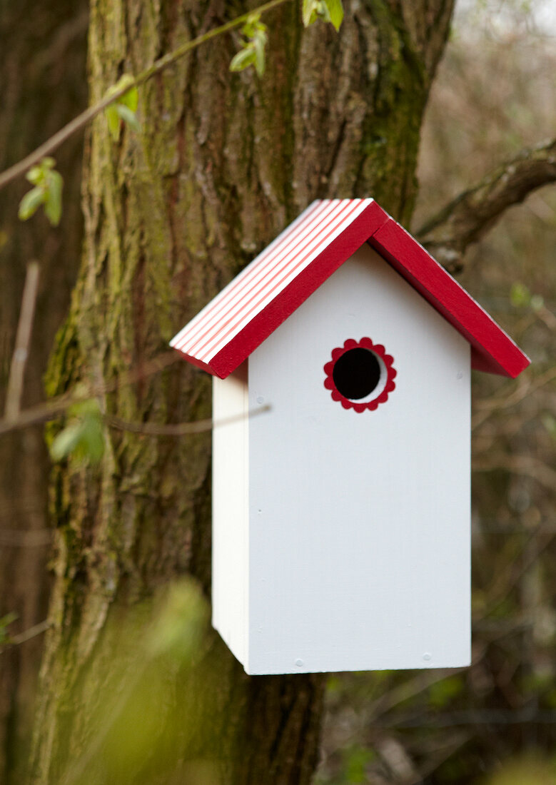 Bird house in white and red on bark of tree