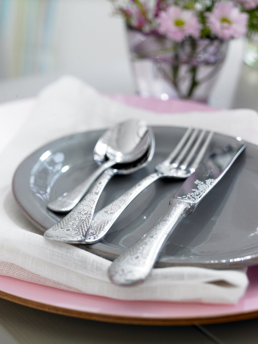 Close-up of stainless steel cutlery on plate
