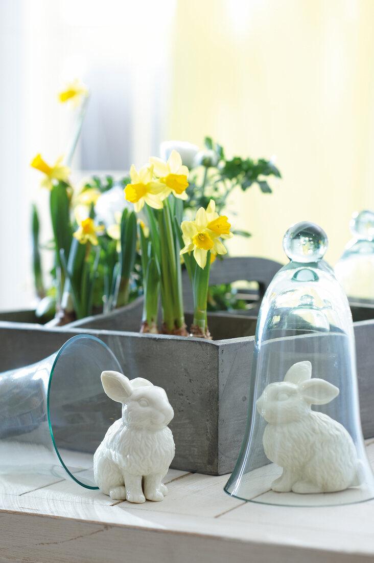 Porcelain bunnies in glass bell and daffodils in flower box