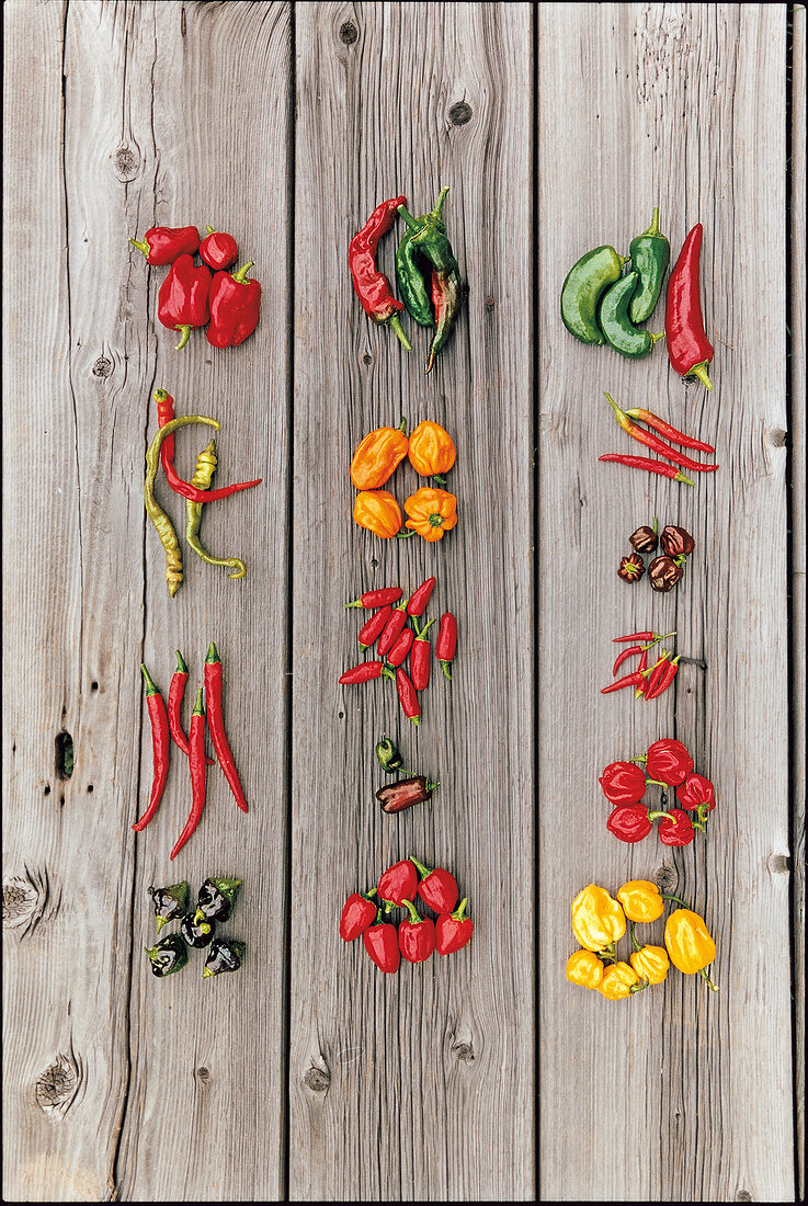 Variety of chilies on wooden surface