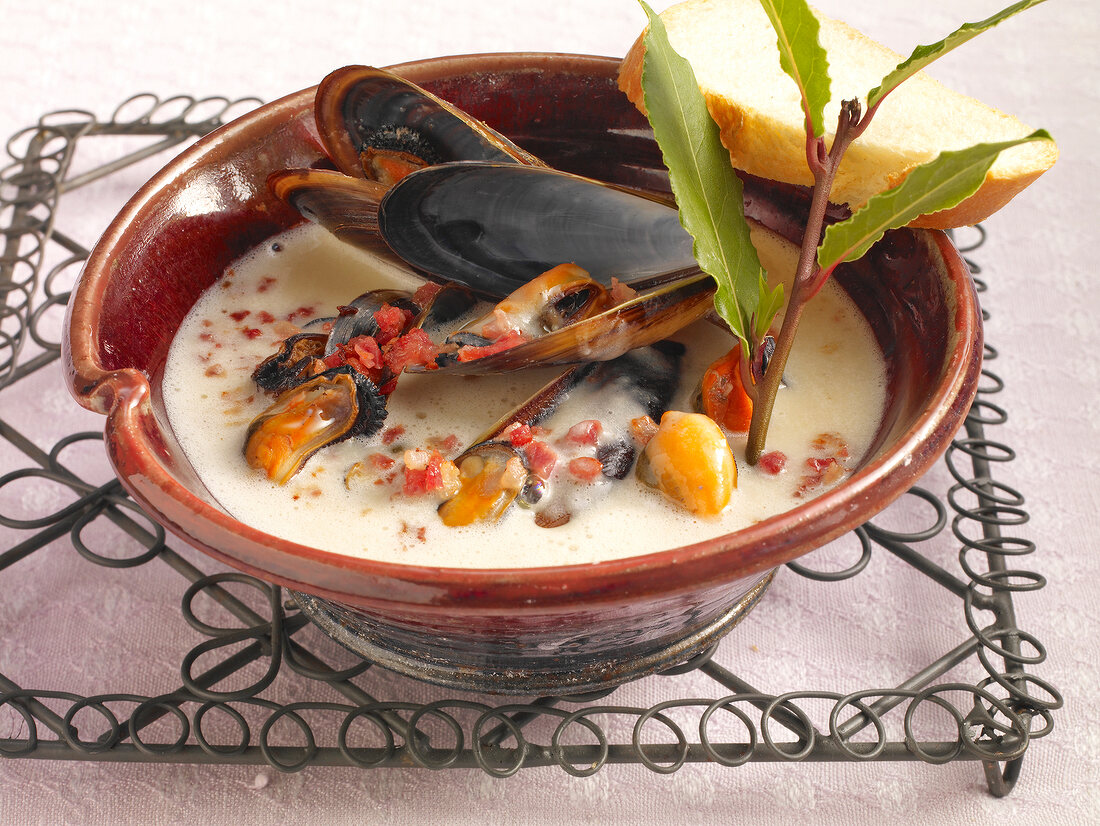 Mussel soup with mussels and cream in bowl