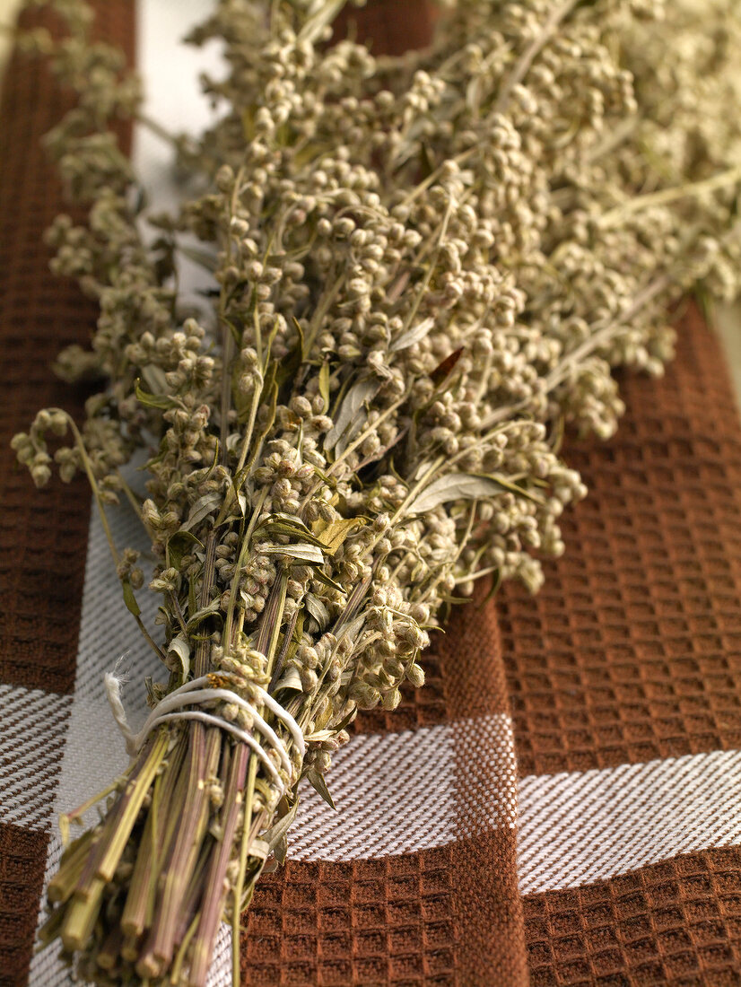 Close-up of dried mugwort