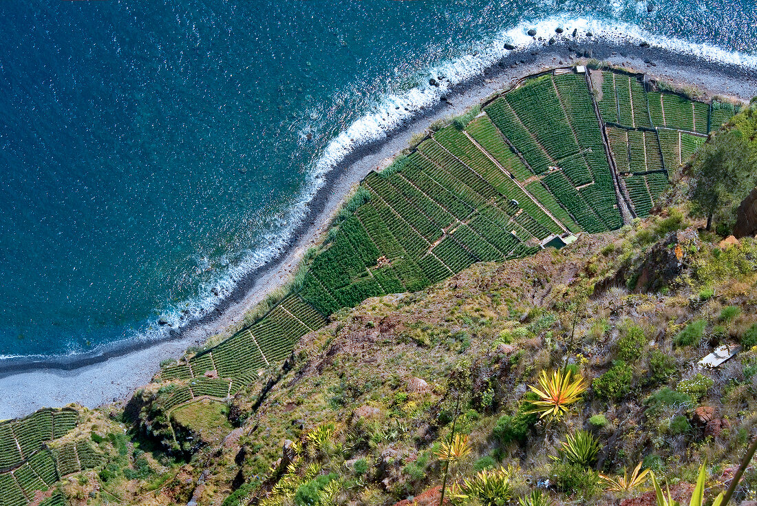 Aerial view of Cabo Girao cliff in Madeira island, Funchal, Portugal