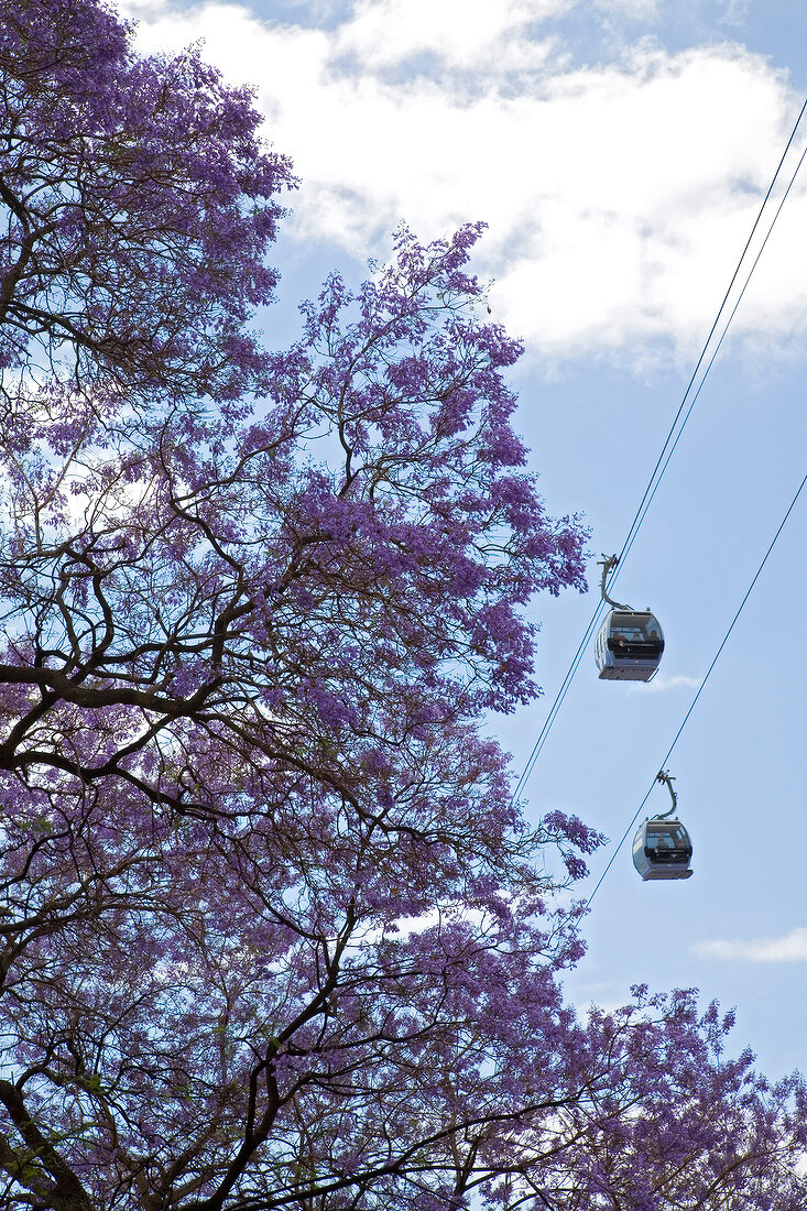 View of cable car in Madiera, Portugal