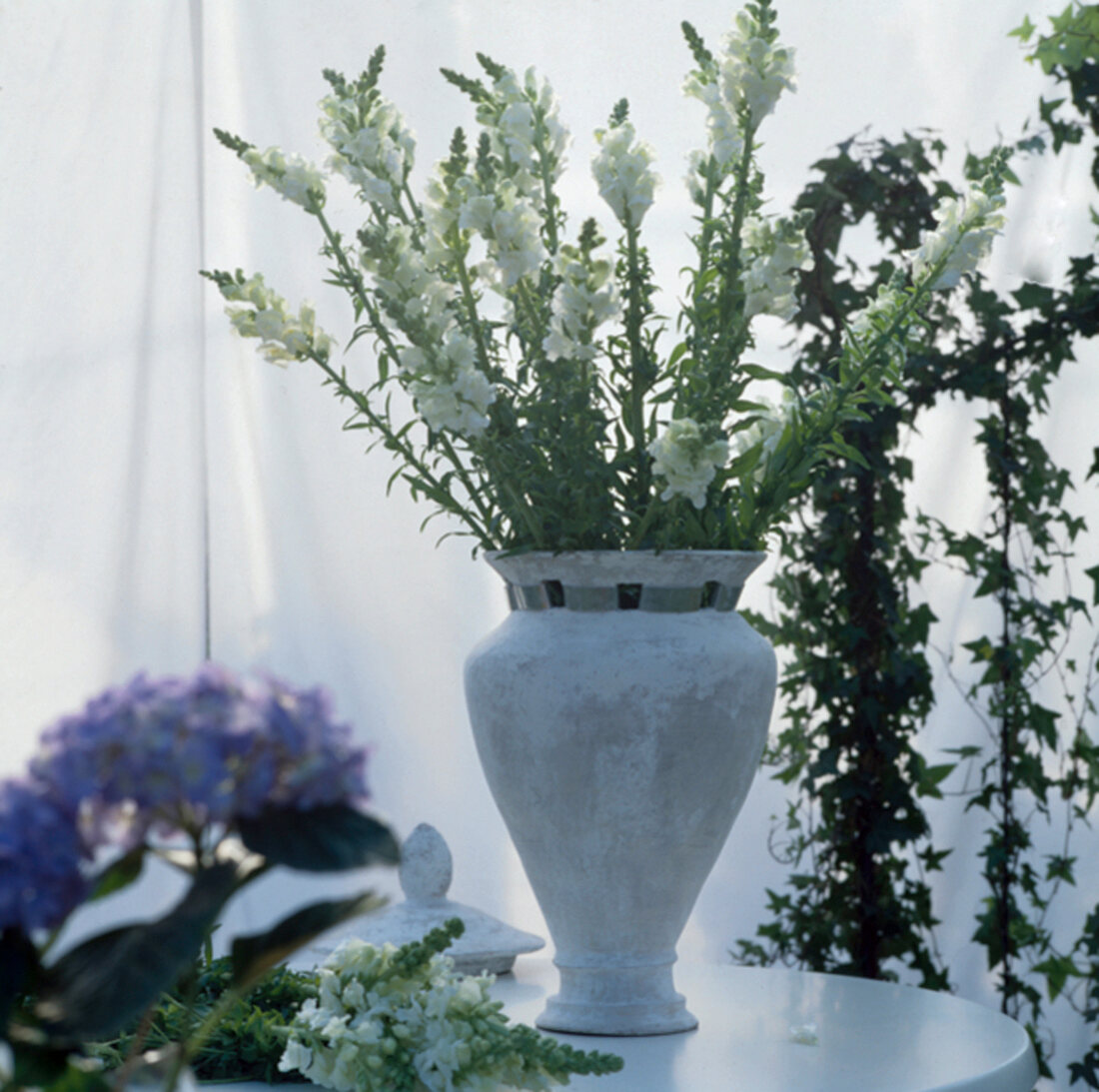 Flowers in white vase