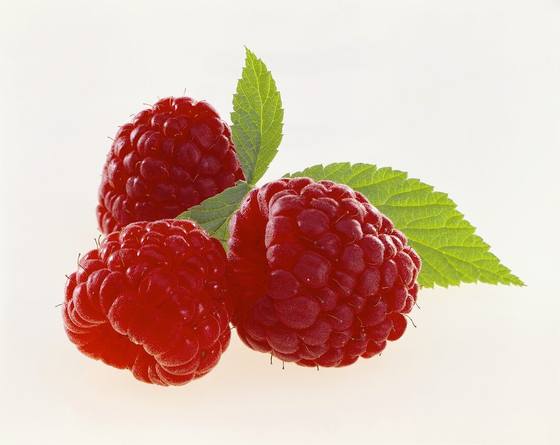 Drei Himbeeren mit Blättern