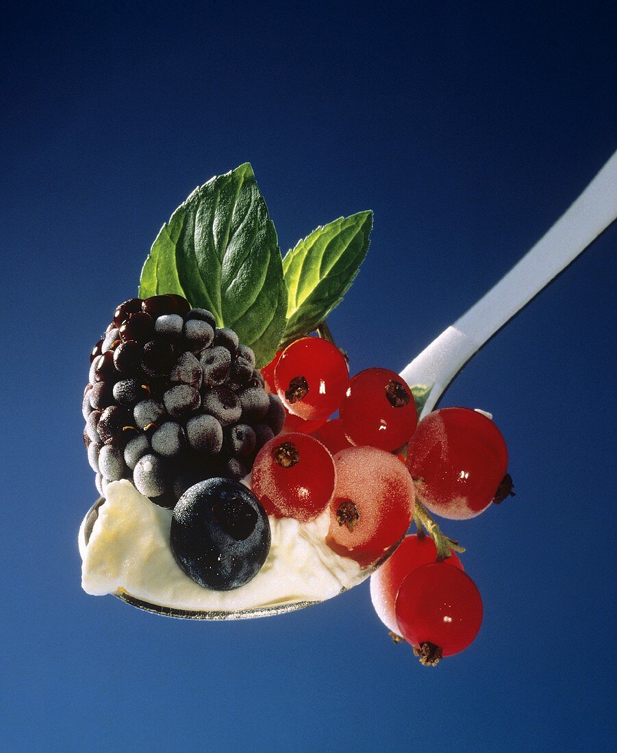 A Spoonful of Berries and Vanilla Pudding