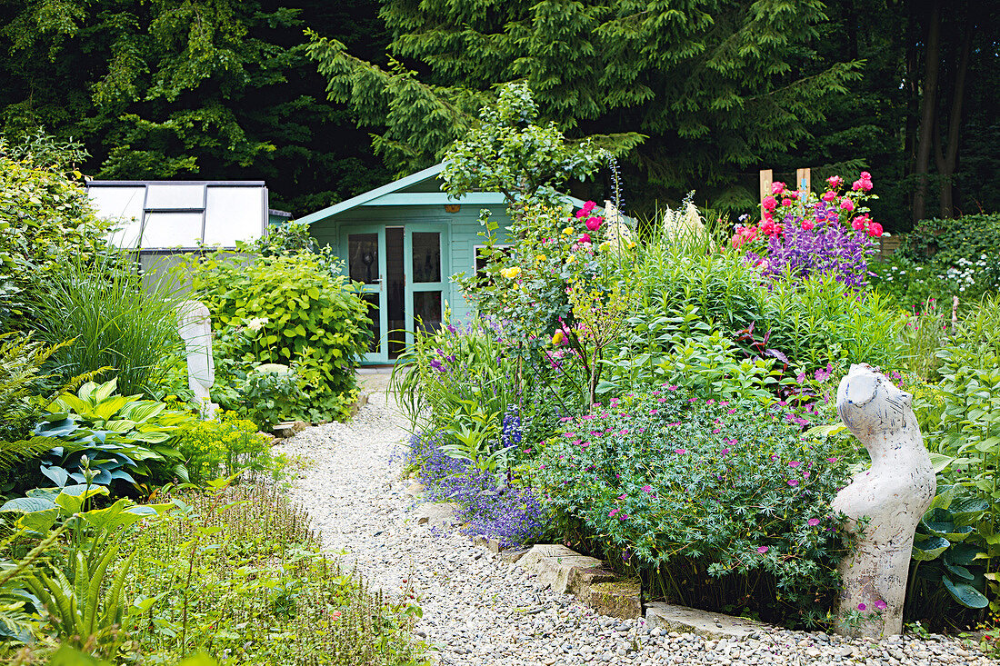 Various shrubs and gravel path in garden leading to cottage