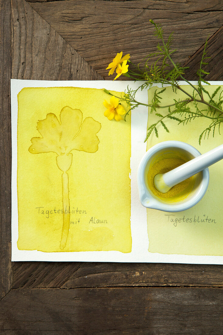 Natural yellow colour made of tagetes in mortar