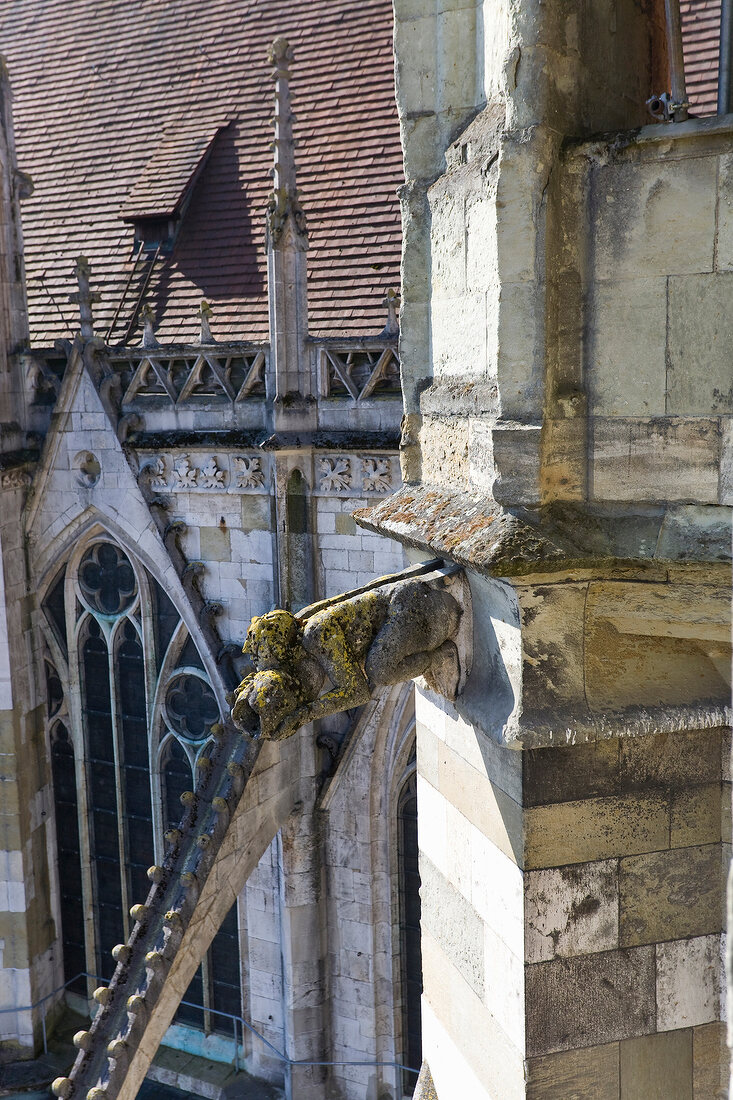 Regensburg: Aussenfassade Dom St. Peter, Fabelwesen als Wasserspeier
