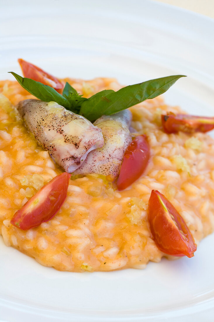 Squid with tomato risotto, cheese and lemon leaves on plate