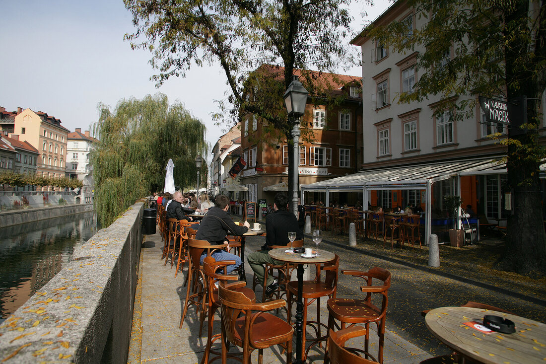 Macek Bar Café