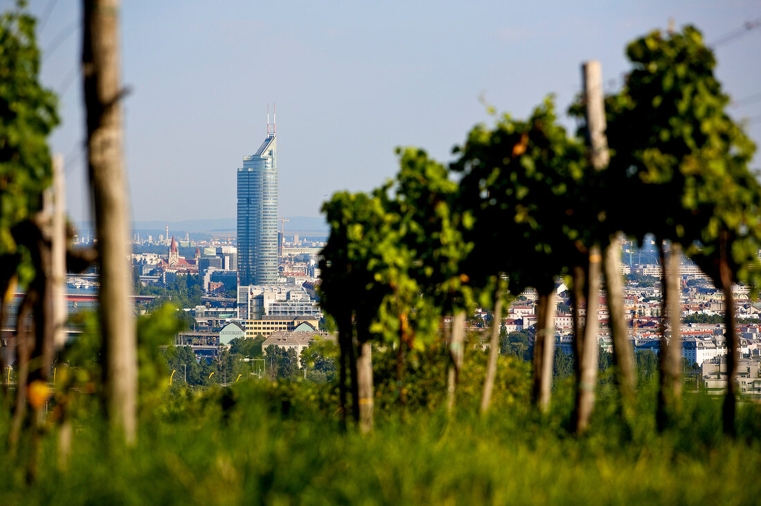 View of Millennium Tower from vineyard in Vienna, Austria