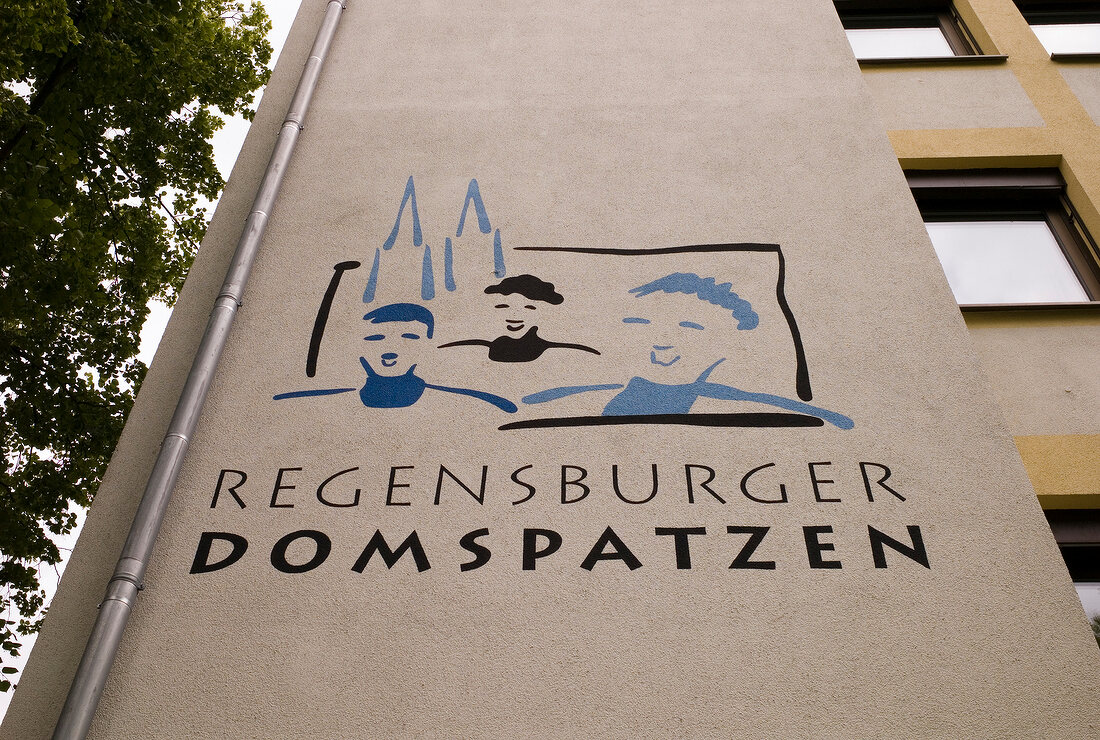 Logo of Regenburger Domspatzen, Choir group of St. Peters Cathedral