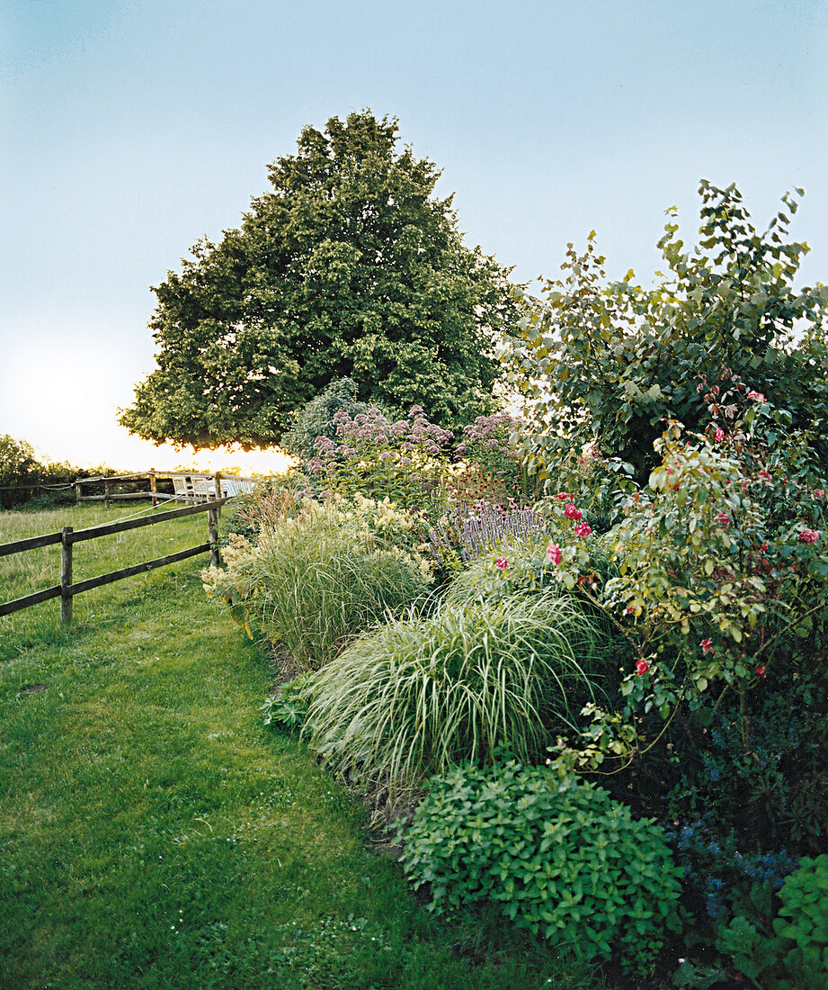 Garten, Staudenbeet, Holzzaun, sommerlich