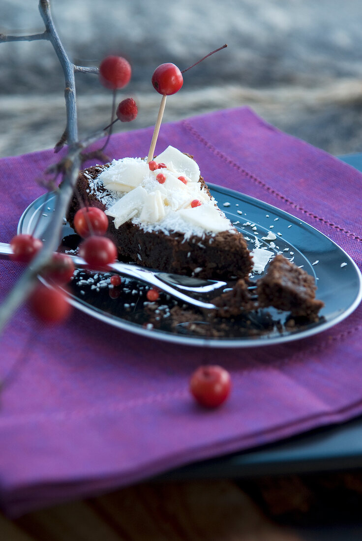 Teller, Stück Schokokuchen, Zweig, rote Beeren