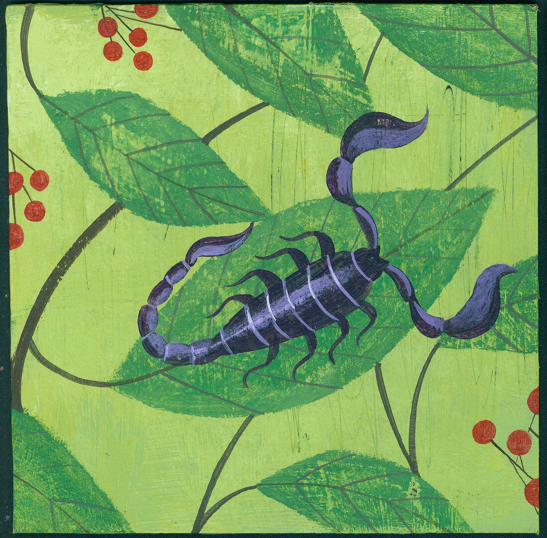 Illustration: Skorpion, Blätter grün 