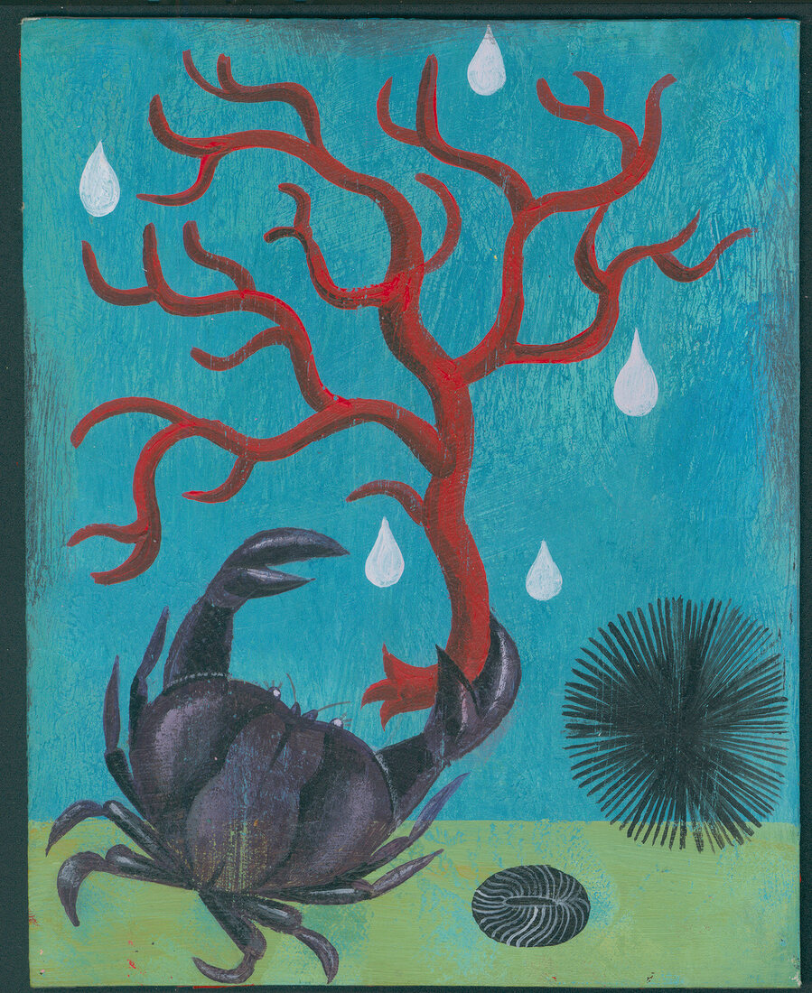 Illustration of crab holding branch with water droplets symbolizing the zodiac sign Cancer