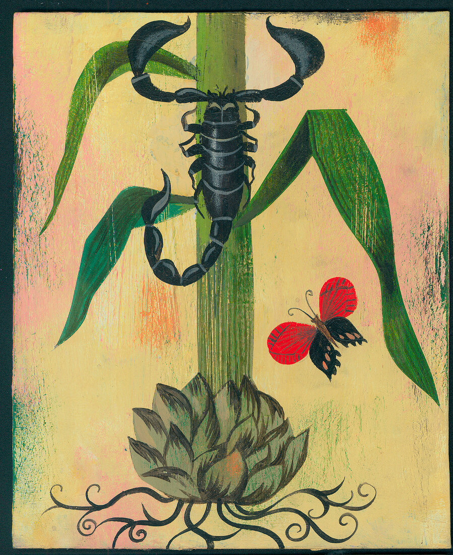 Illustration of scorpion crawling up a small plant symbolizing the zodiac sign Scorpio