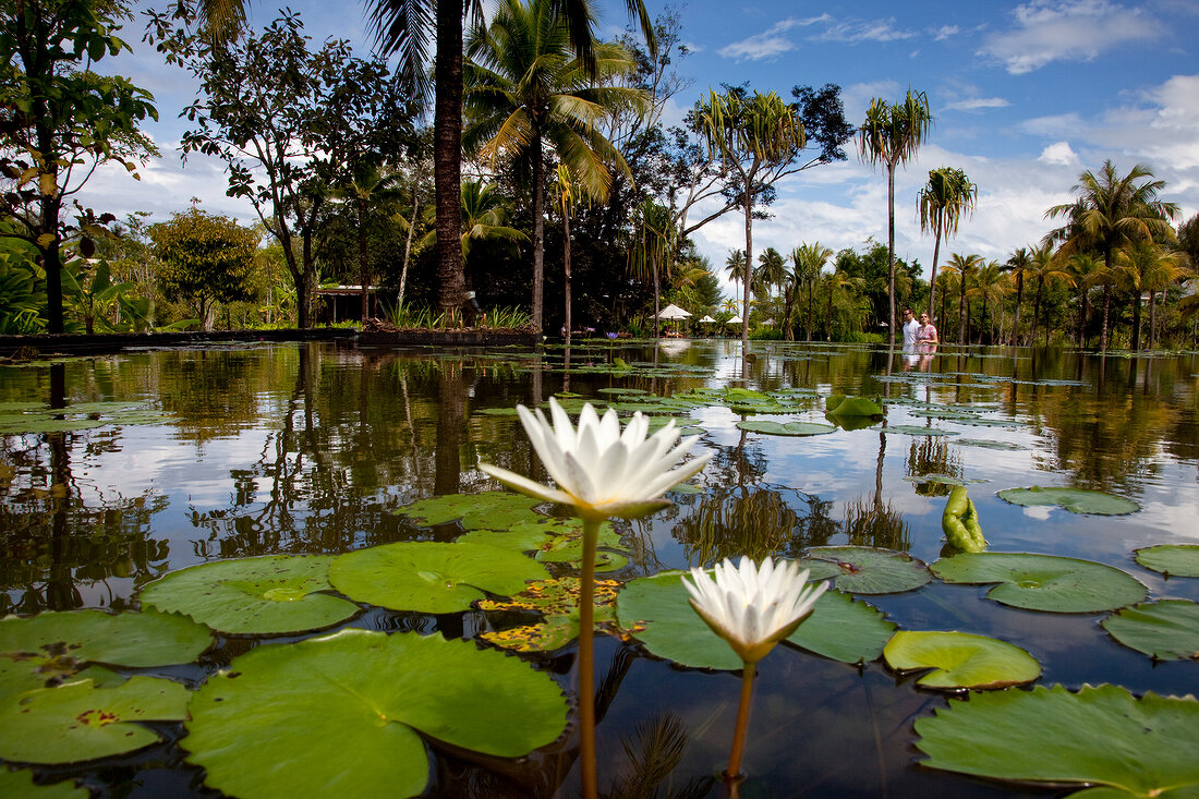 Tourist strolling in garden with pond having white lotus