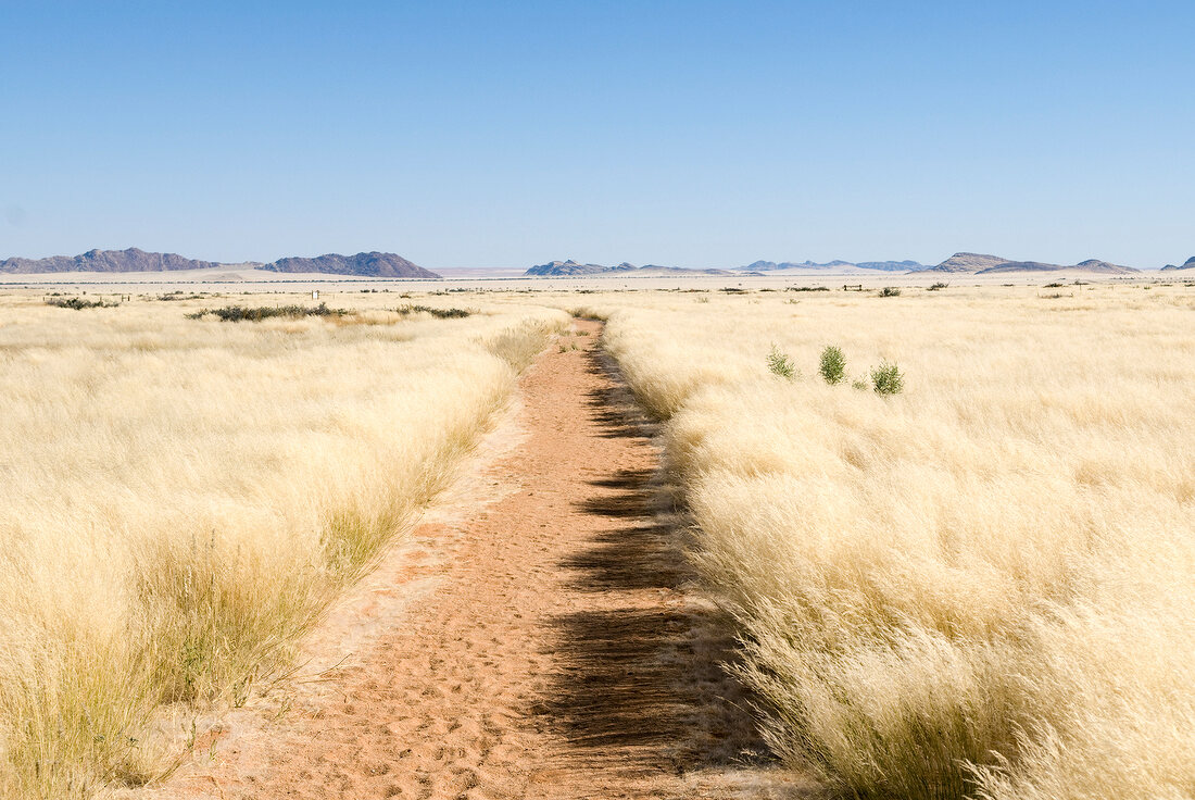 Namibia, Solitaire, Landschaft, Weg zum Sunset View Point