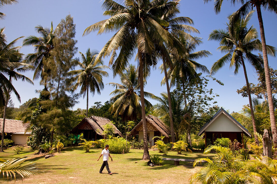 View of small huts and palm trees at Ko Phi Phi Island, Thailand