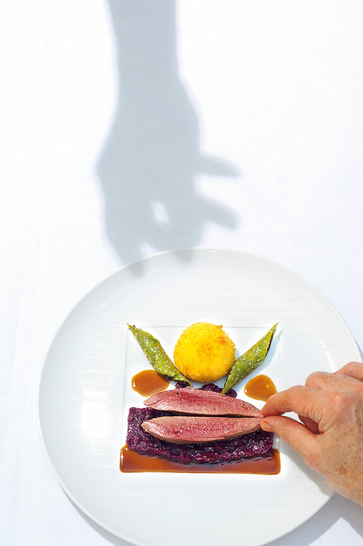 Wild duck breast, red cabbage, potato dumpling and liver croustillant on plate