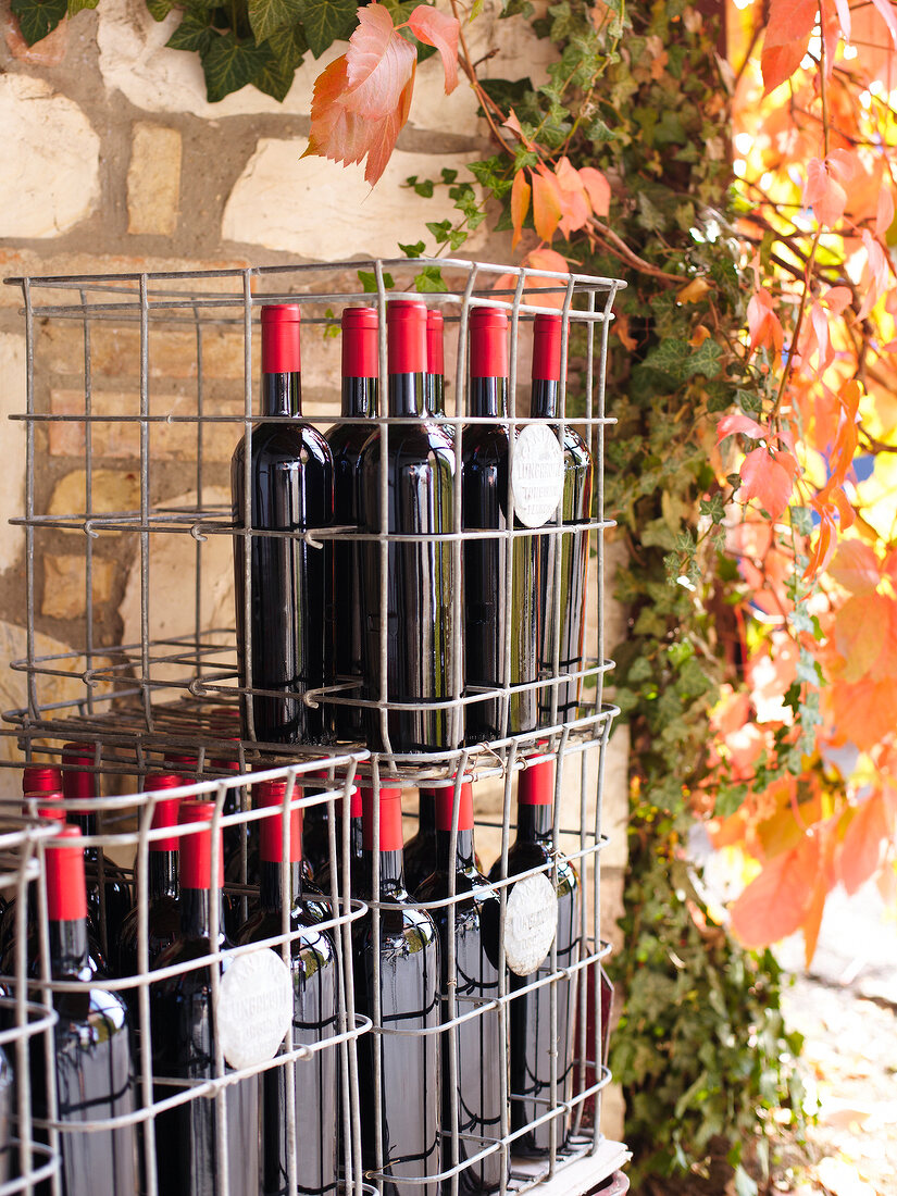Close-up of red wine bottles , Umbria, Italy