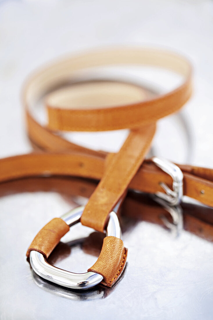 Close-up of orange belt with silver buckle