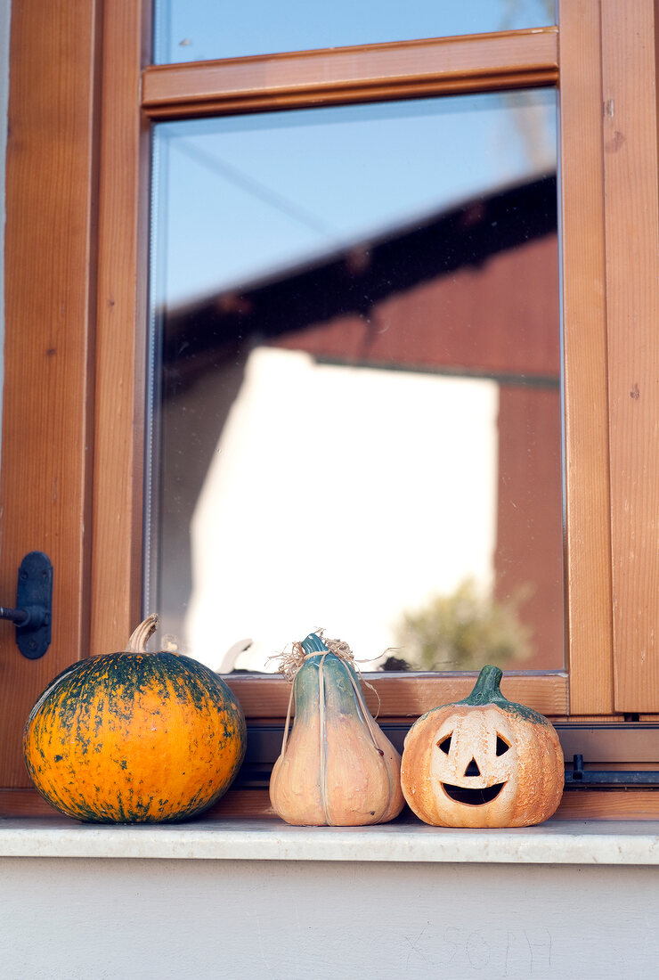 Two different pumpkins and one Halloween against window, Styria, Austria