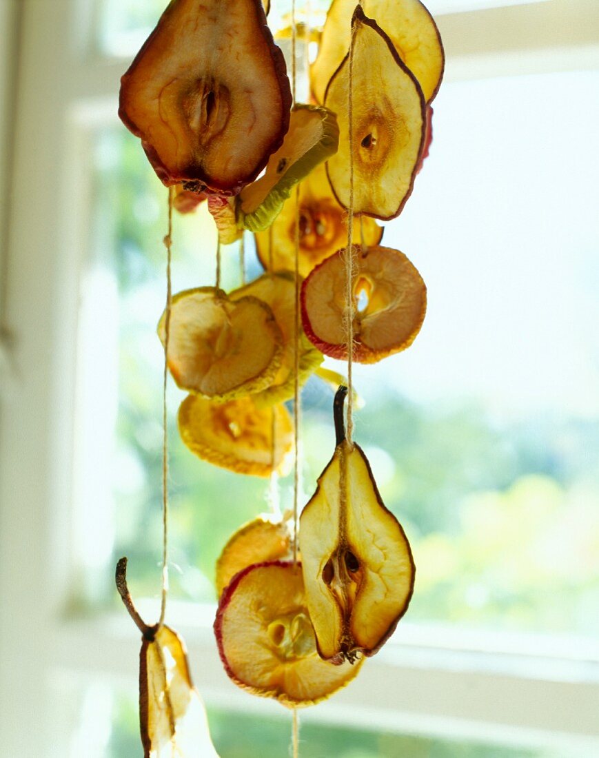 Dried fruit slices hanging on ribbons in front of window