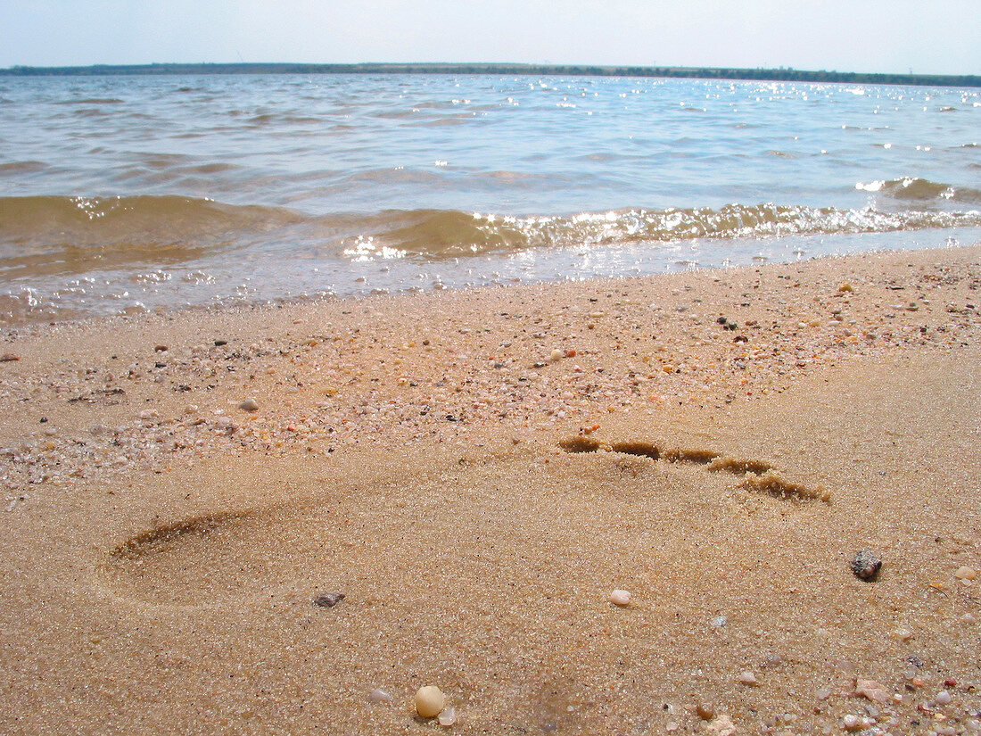 Close-up of footprint in sand at Baltic beach, Stralsund, Germany