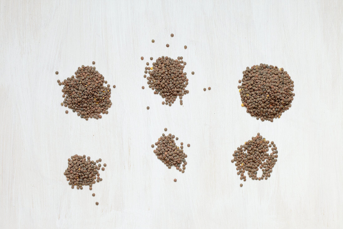 Dried Pardina lentils on white background