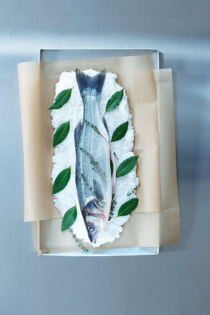 Sea bass fish with mashed fish, salt crust and herb on serving tray