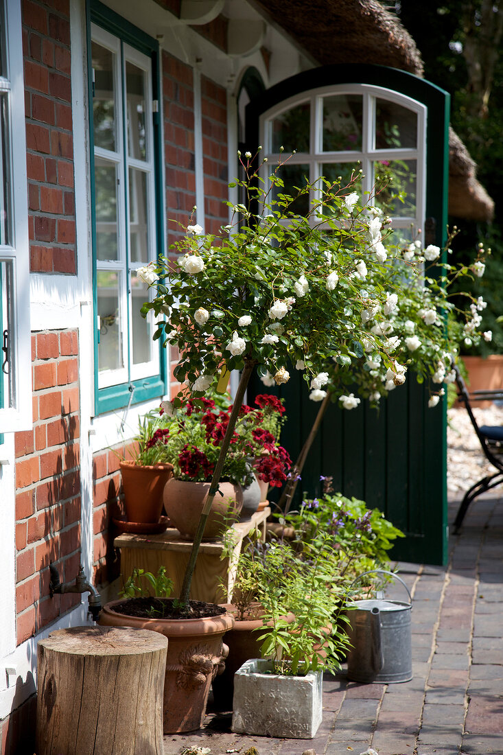 Fachwerkhaus mit Reetdach, Kräuter- garten auf der Südterrasse