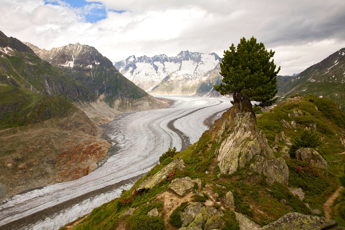 Wallis, Aletschgletscher, X 