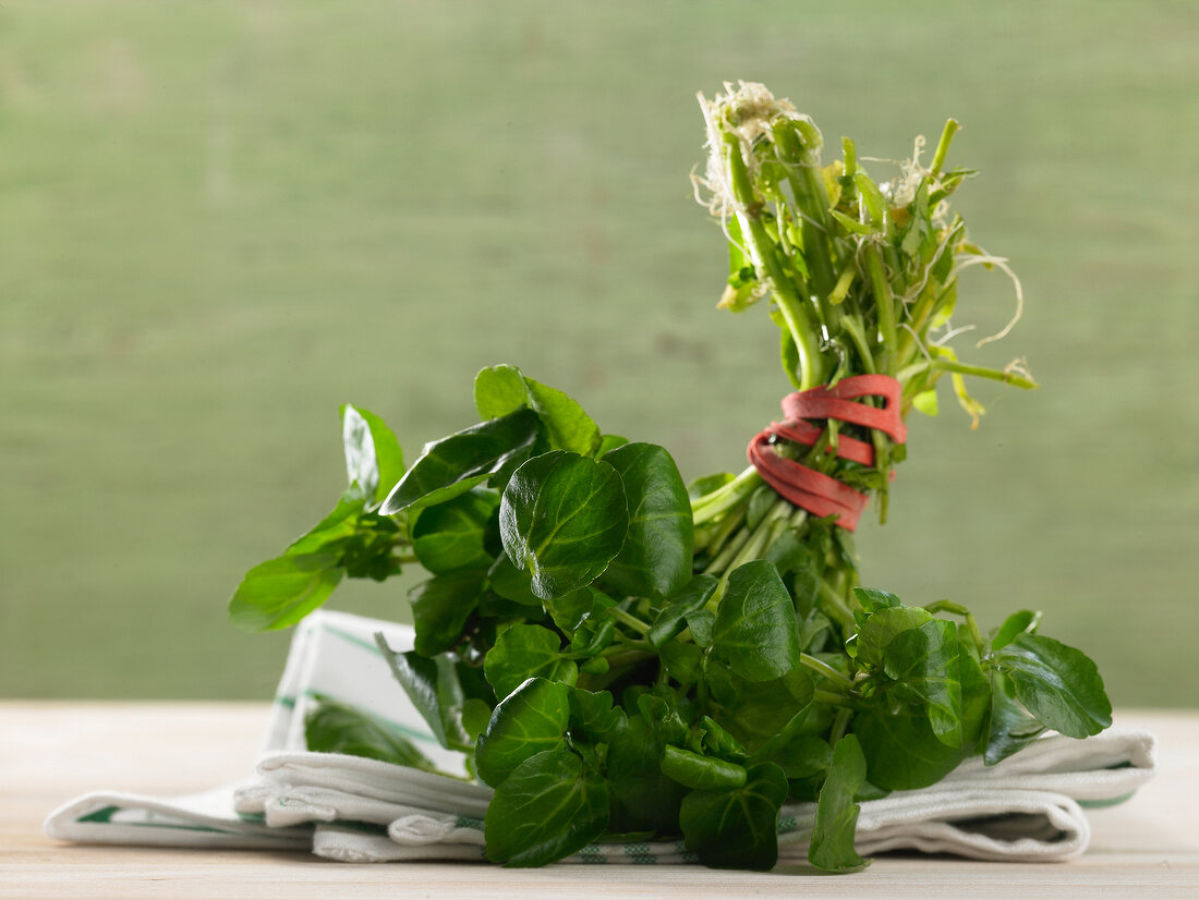 Close-up of watercress