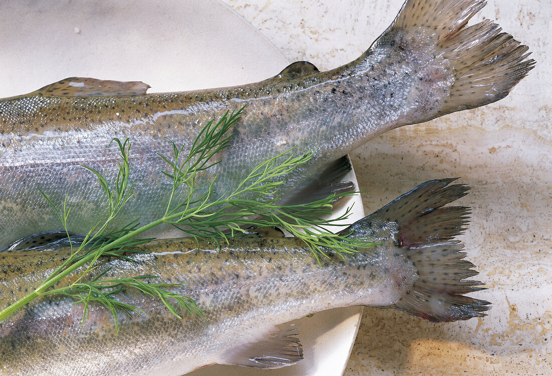 Close-up of two shiny fresh fishes and dill on plate