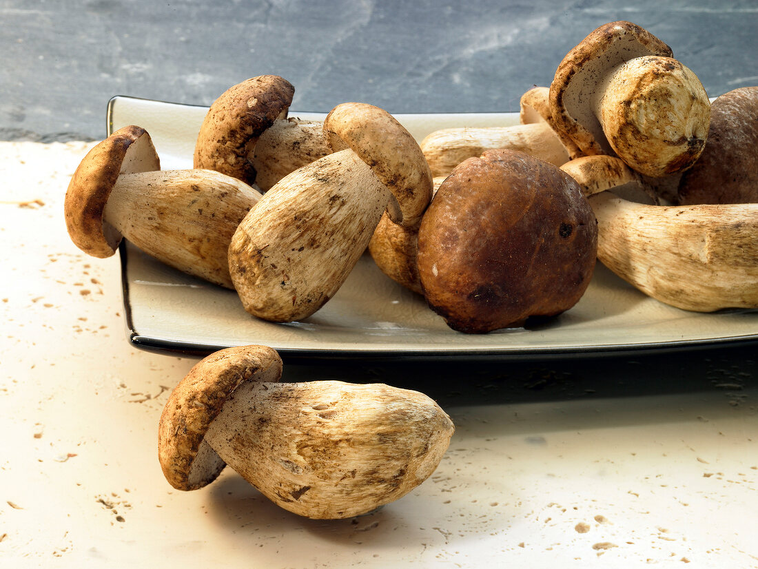 Close-up of fresh porcini mushrooms on tray