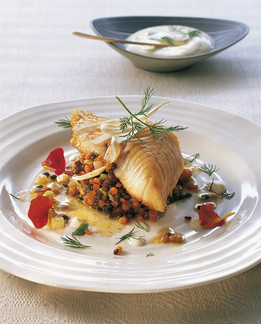 Close-up of fried zander with lentil salad on plate