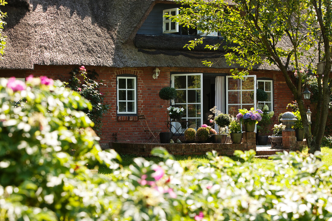 Country house with thatched roof